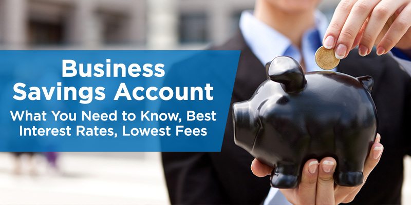 business-savings-account-rates-fees-and-more-info