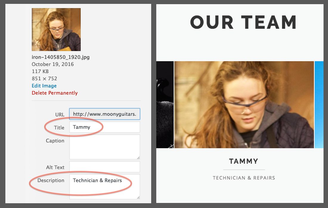 The Team Section: Add names under “Title” and position/title under “Description”
