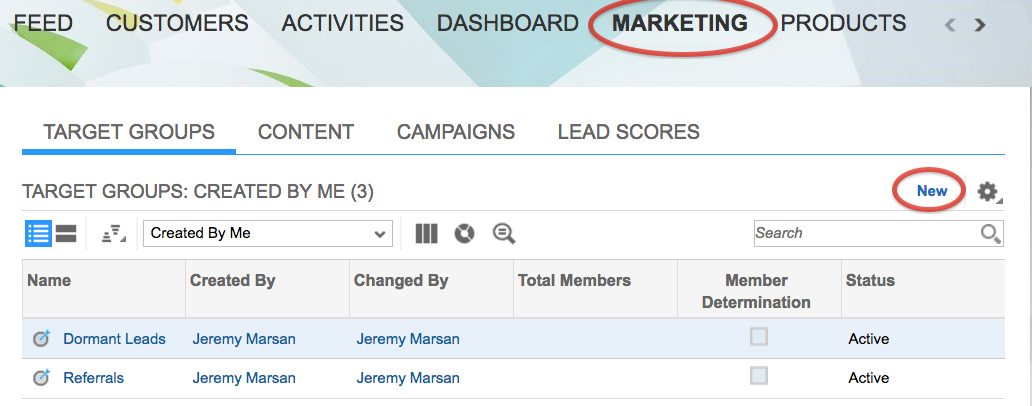 Email Marketing Groups in SAP Digital CRM