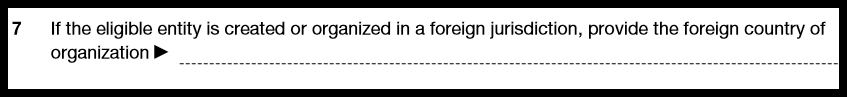 Form 8832 Foreign Entities