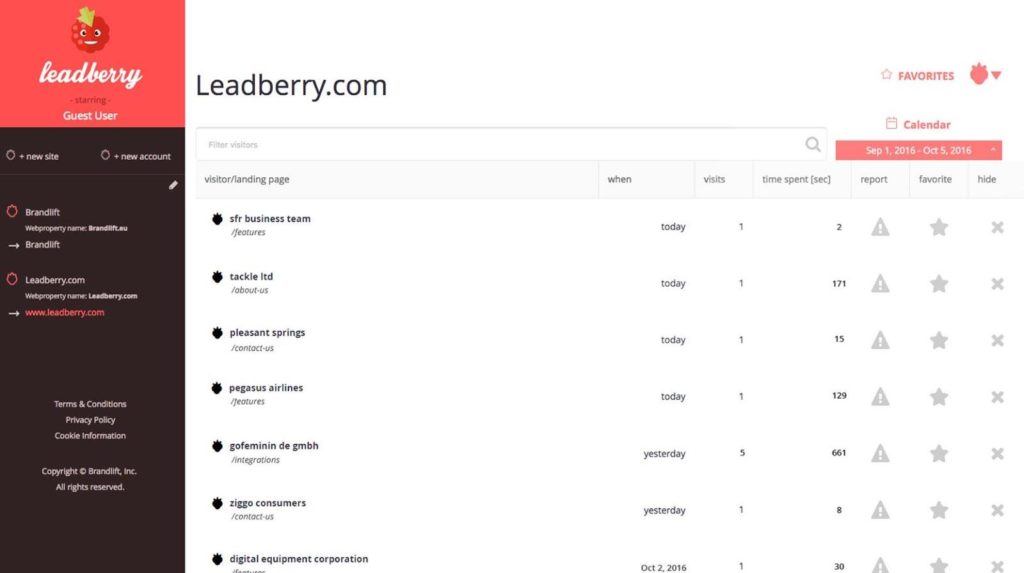 Screen Grab of Leadberry Dashboard, Which Reveals Website Visitors in Realtime