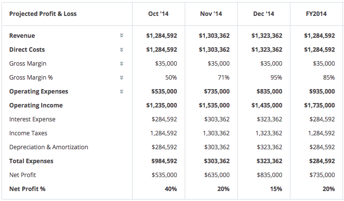 profit in business plan example