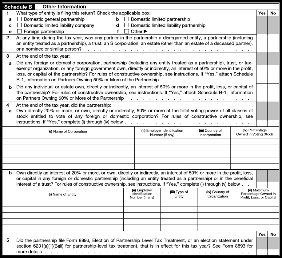 tax form 1065 example