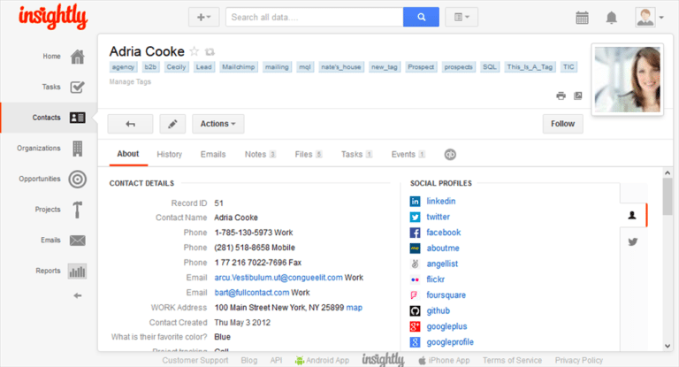 free real estate crm: Insightly