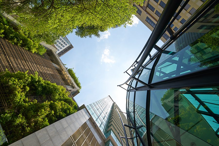 Money tree loans australia image 2