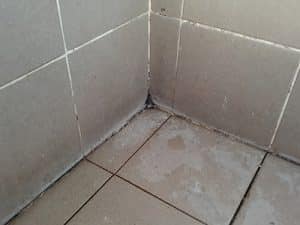 Dirty grout on tiles from regular wear.
