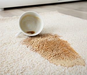 The tenant stained the carpet with spilled coffee.