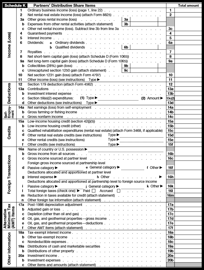 1065 tax return example