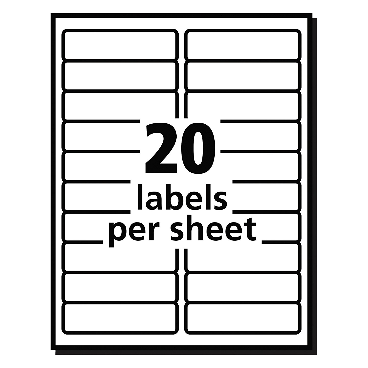 Zebra Label Size Chart