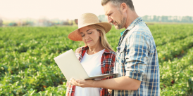 farm accounting software