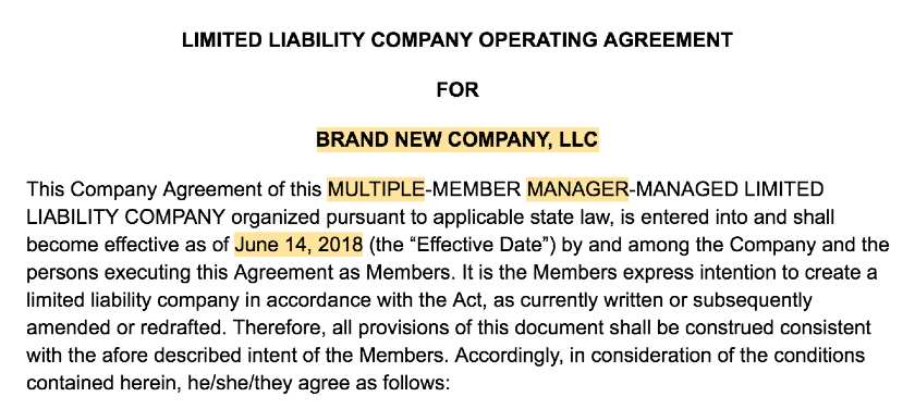 Screenshot of LLC Operating Agreement Template Intro