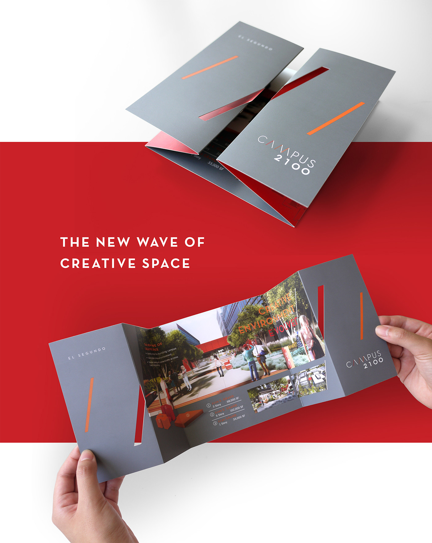 graphic designer portfolio brochure