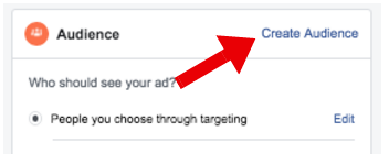 Crea pubblico per Facebook Sponsored Post - facebook sponsored post