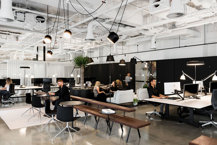 Open Office Layout Ideas