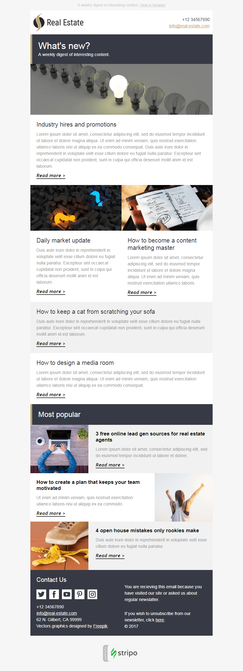 How To Use Mailchimp For Newsletters / How To Create Your First