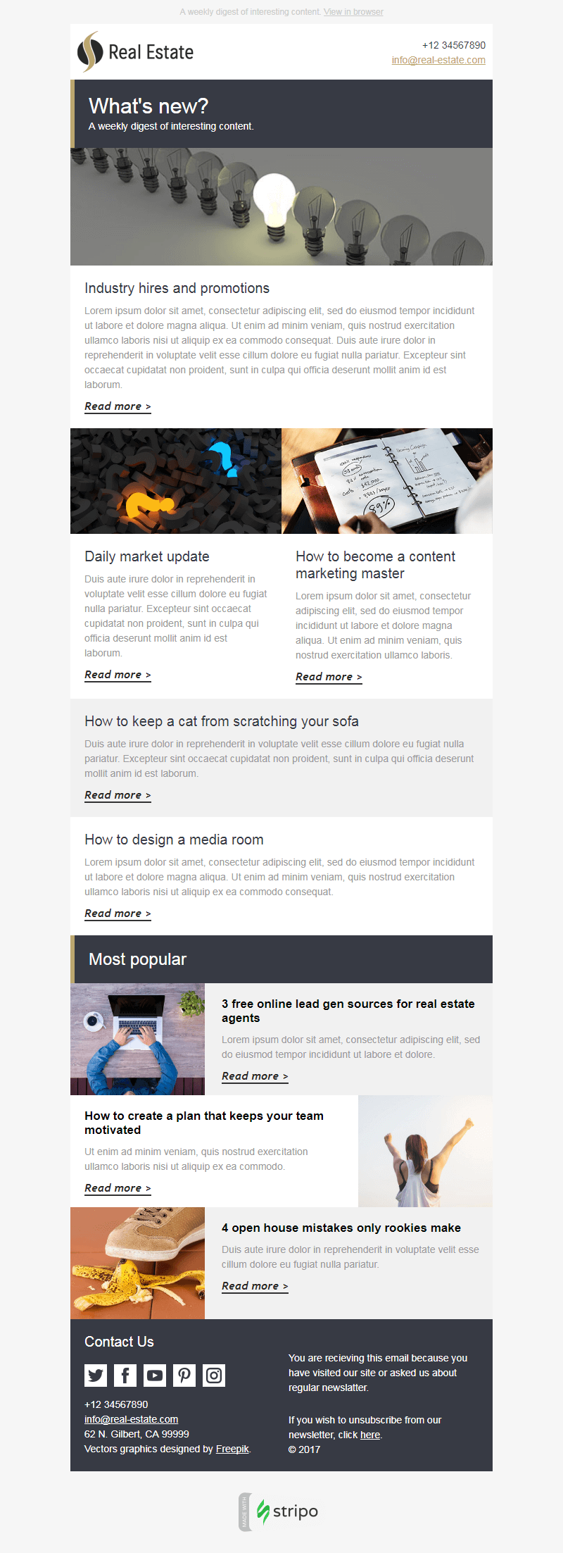 25 Best Mailchimp Newsletter Templates From Around The Web