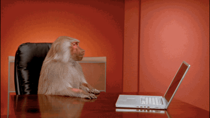 monkey throw laptop gif