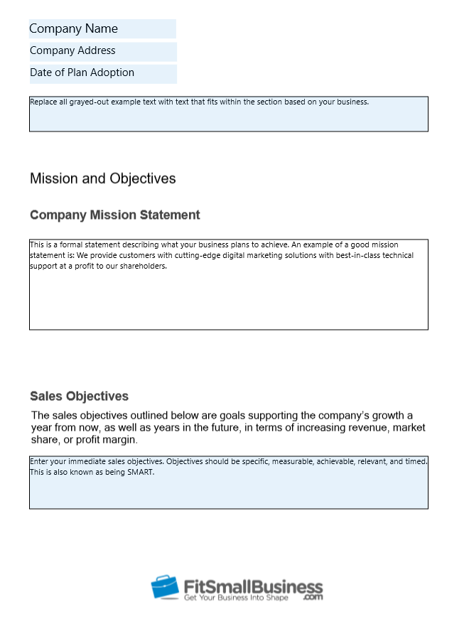 detailed business plan pdf