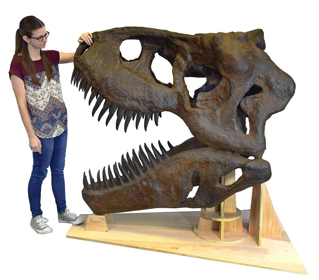 a girl holding dinosaur head