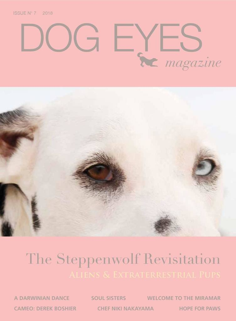 Dog Eyes magazine