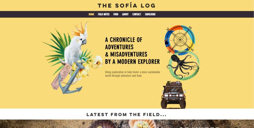 The Sofia Log website