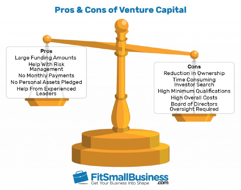 10 Venture Capital Advantages Disadvantages