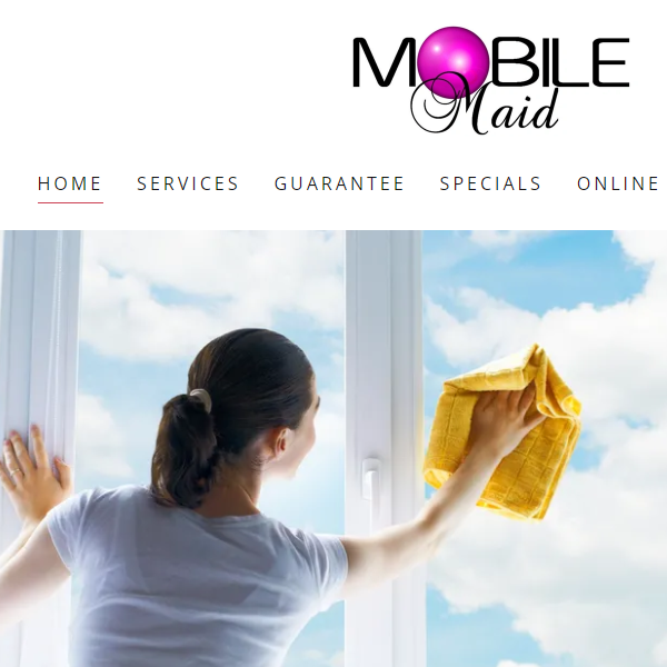 Mobile Cleaning Service - small business ideas for beginners - tips from the pros