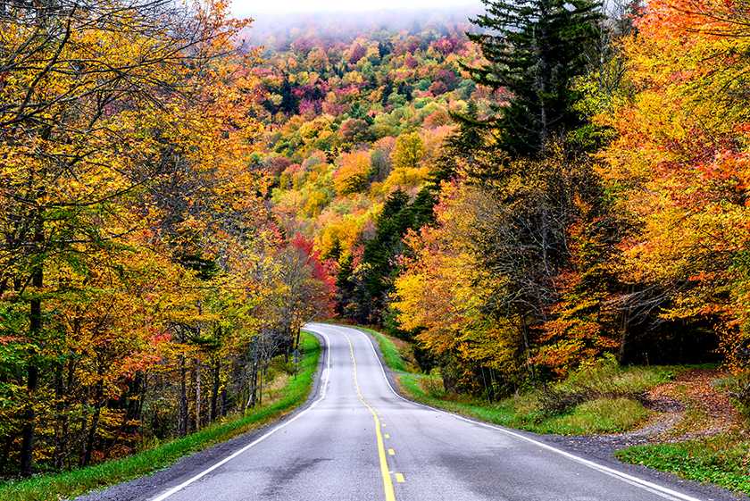 Driving through the Monongahela National Forest, West Virginia during autumn season.