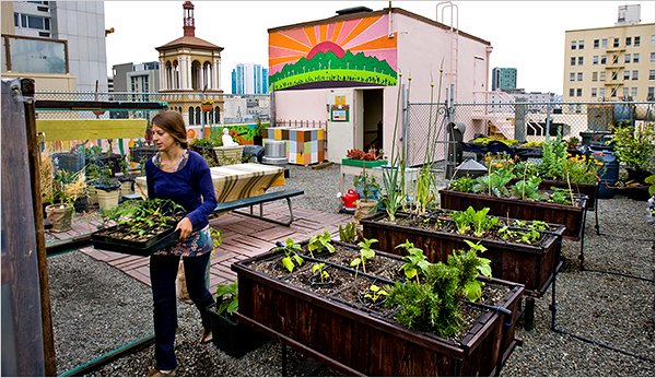 rooftop farming