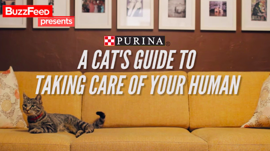 Carta del titolo di "Guida di un gatto per prendersi cura del proprio essere umano" di Purina e ronzio