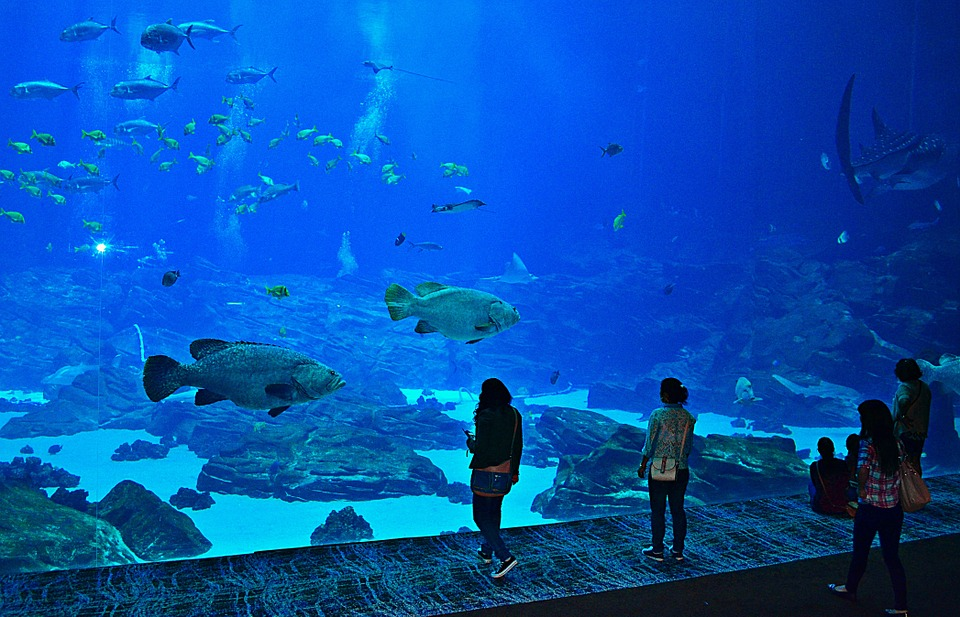 Atlanta Aquarium