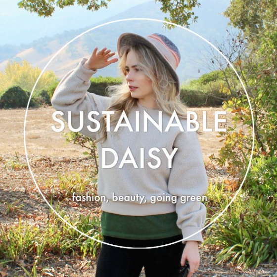 sustainable daisy blog image