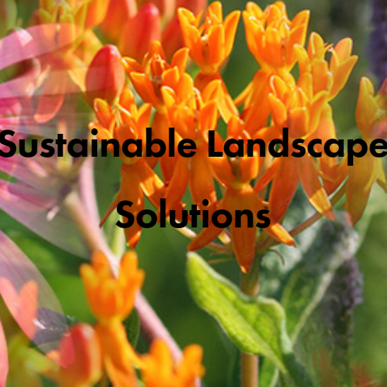 header image from sustainable landscape solutions