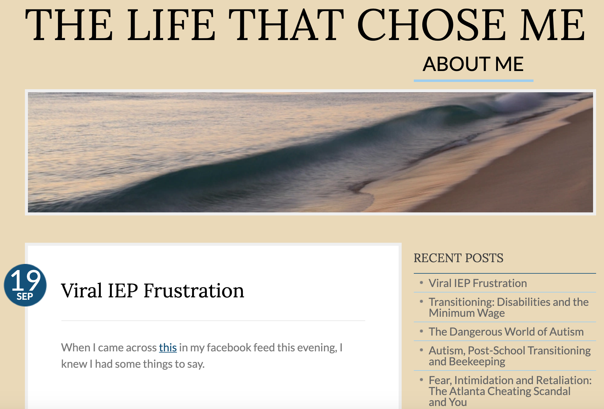 the life that chose me teacher blogs