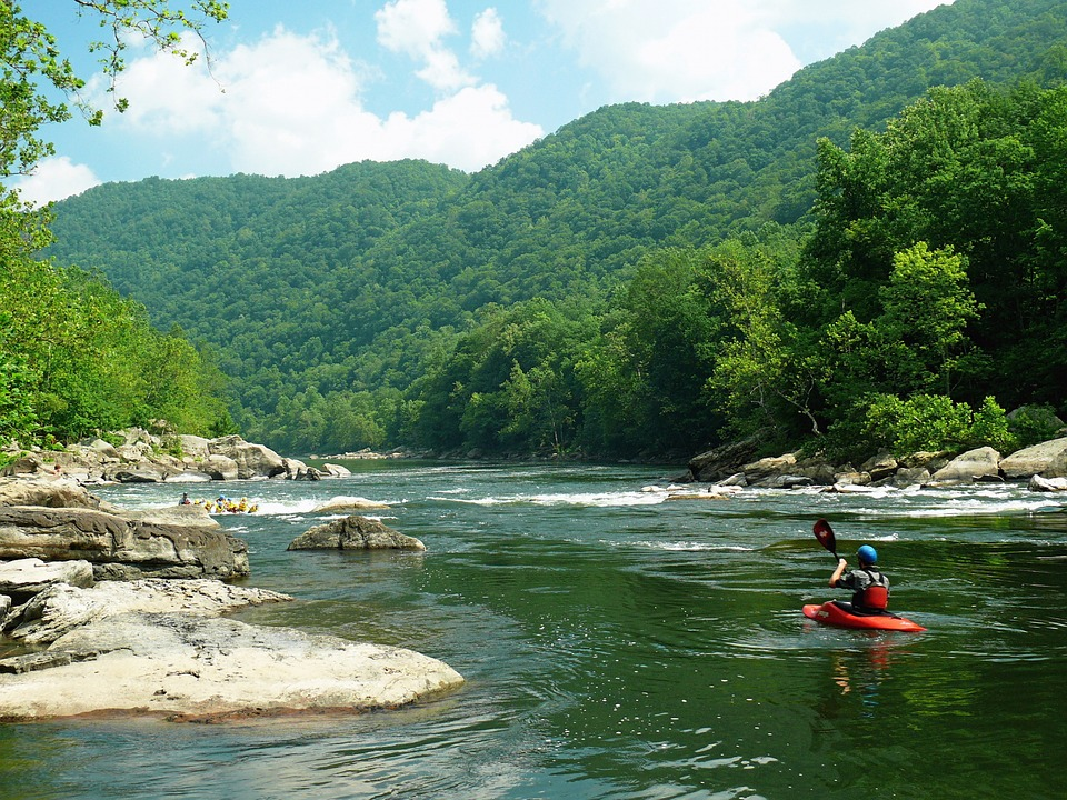 photo of the wilderness in West Virginia