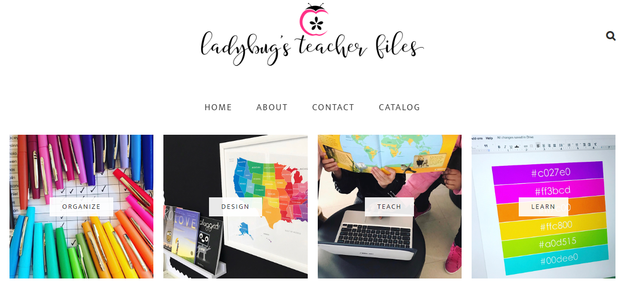 Ladybug’s Teacher Files - teacher blogs infographic 