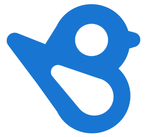 Logo Birdeye