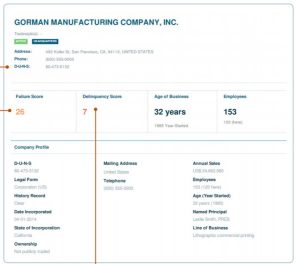 Dun & Bradstreet Report: Definition, Cost & Features