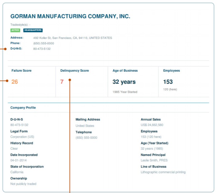 Example of company profile section