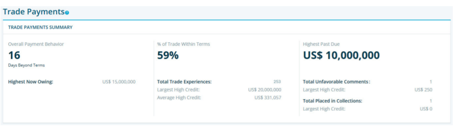 Dun & Bradstreet Report: Definition, Cost & Features