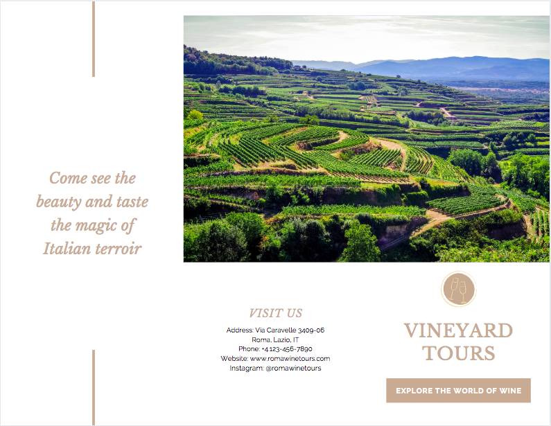 Canva - Esempio di brochure lato vino 1 lato