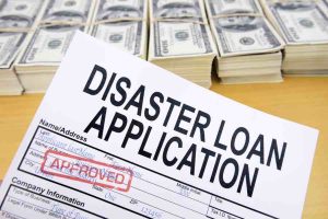 Disaster Loan Application Form.