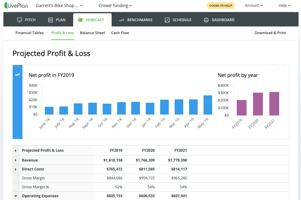 Projected Profit & Loss LivePlan