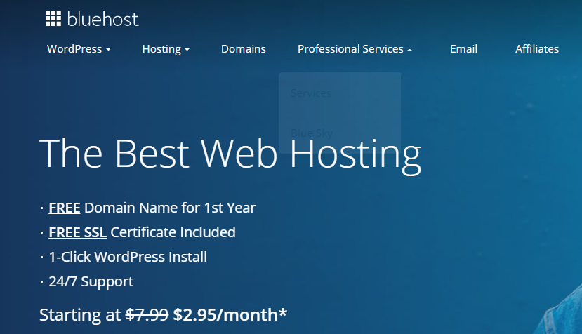 Bluehost hosting provider