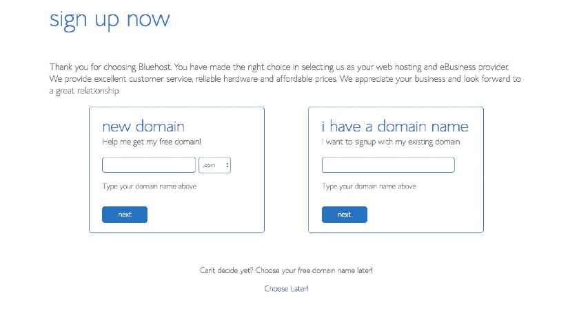 Screenshot van het instellen van een domein in Bluehost