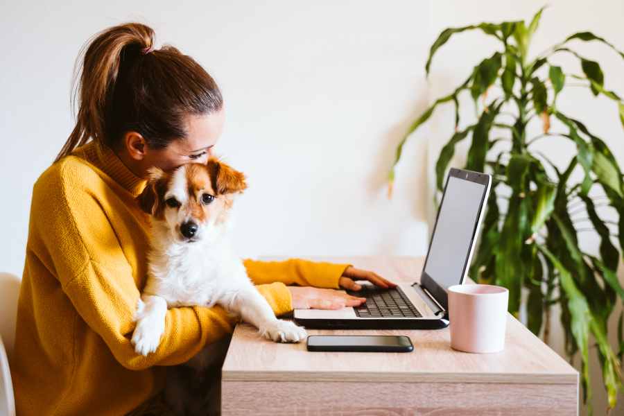 woman cuddling her pet while working from home