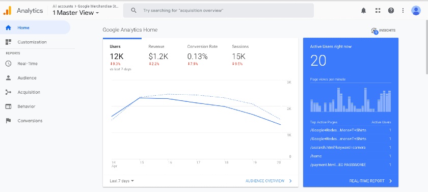 Google Analytics master view