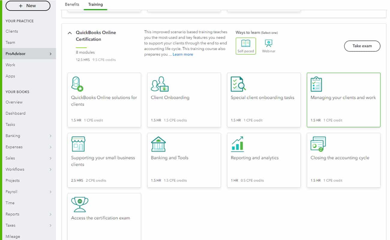 quickbooks pro for dummies