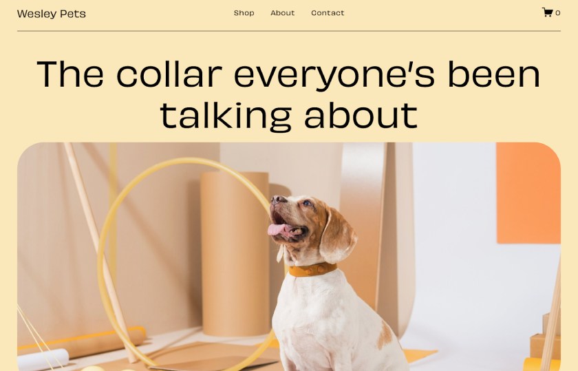A Squarespace website template for an ecommerce website selling dog collars.