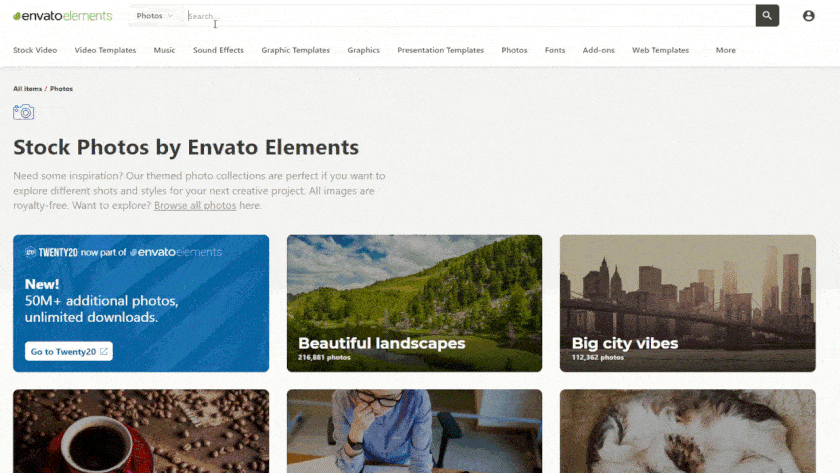 Envato Elements easily find and sort stock images for websites